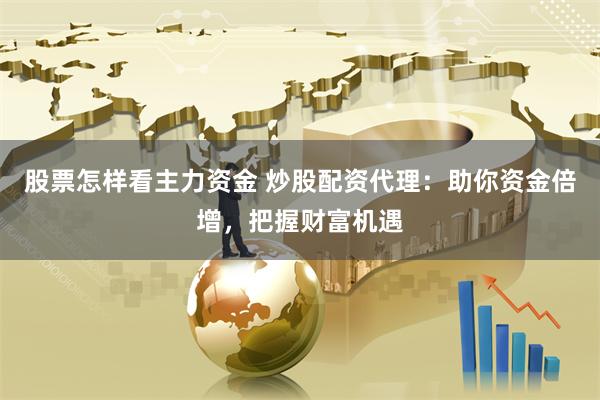 股票怎样看主力资金 炒股配资代理：助你资金倍增，把握财富机遇