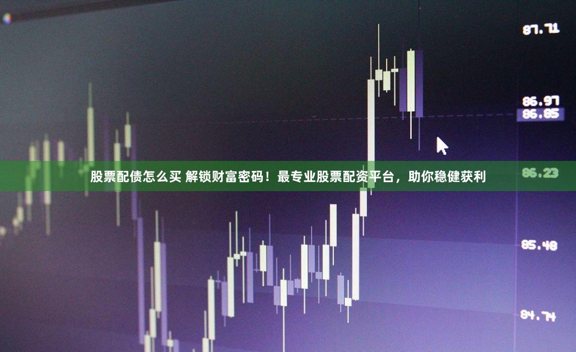 股票配债怎么买 解锁财富密码！最专业股票配资平台，助你稳健获利