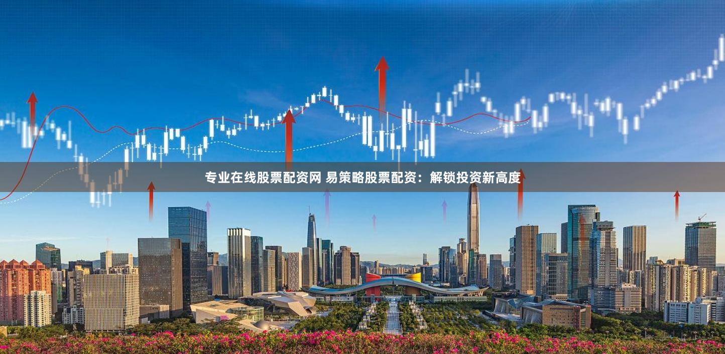 专业在线股票配资网 易策略股票配资：解锁投资新高度
