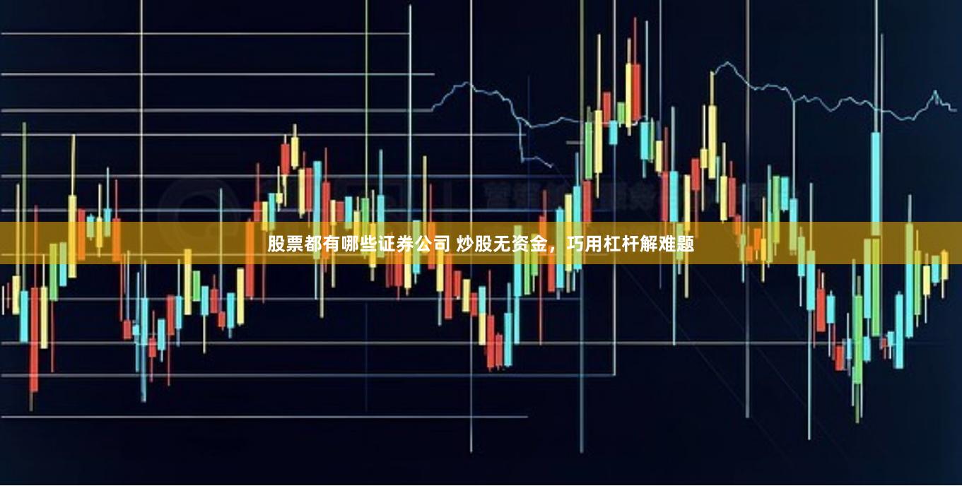 股票都有哪些证券公司 炒股无资金,巧用杠杆解难题
